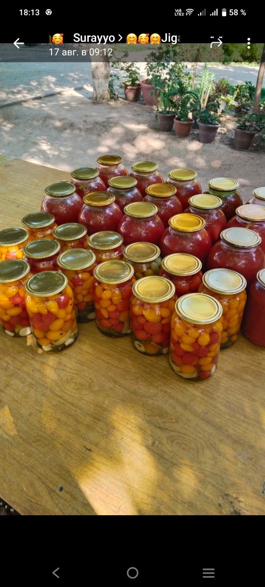 Pomidori soklari