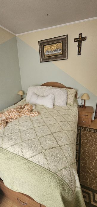 Vand Casa in Localitatea Bradu