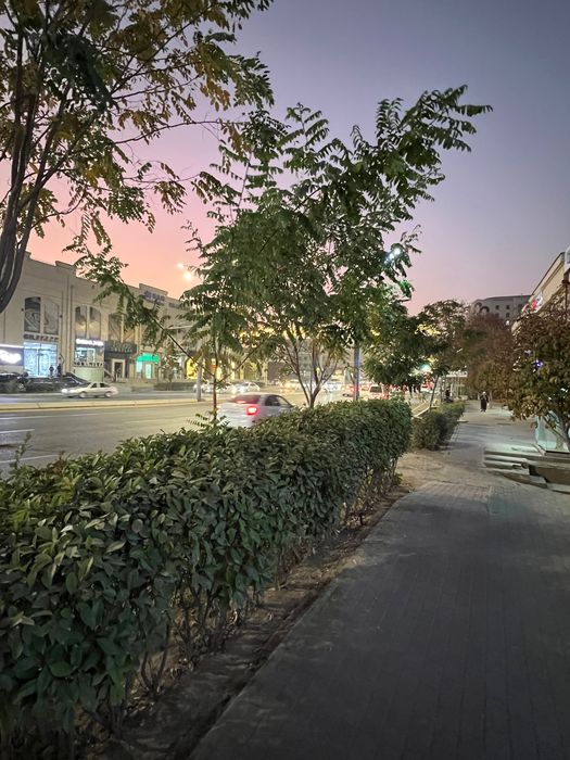 Сдаётся офисное помещение — 80 м²