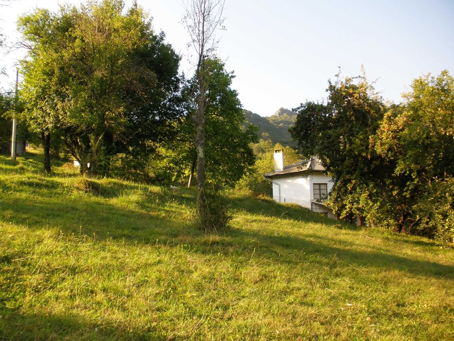 Парцел в с.Рибарица