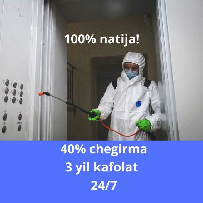 Dezinfeksiya klapa, tarakan | dizinfeksiya dizenfeksiya dezenfeksiya