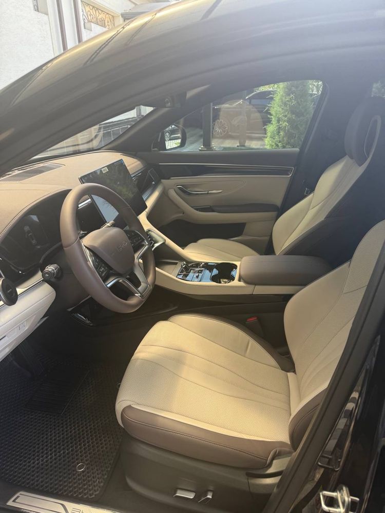 BYD Champion 2024/2025 Restyling