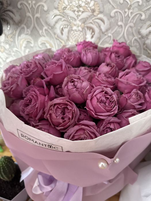 Цветы розы новые