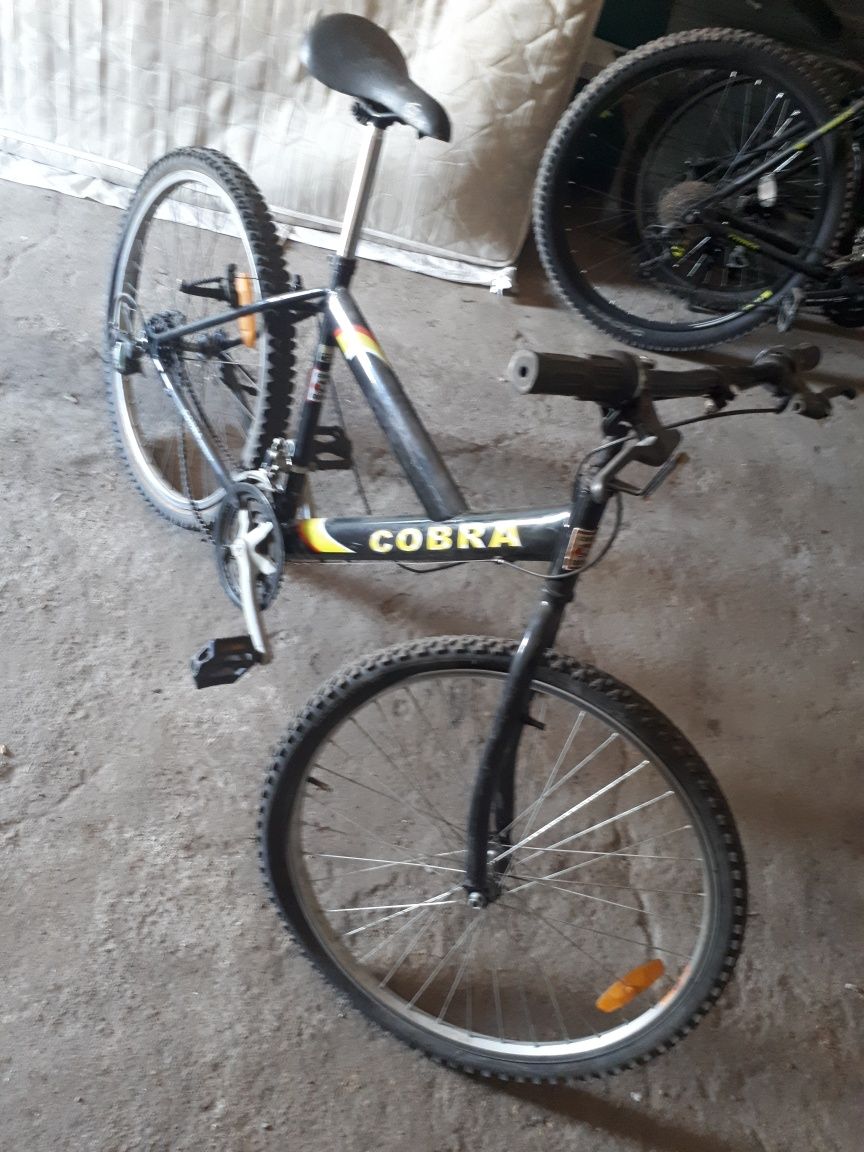 Велосипед кобра летний