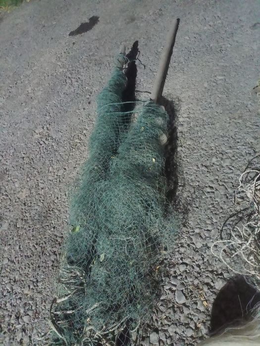 Сүзетін құратын сетка