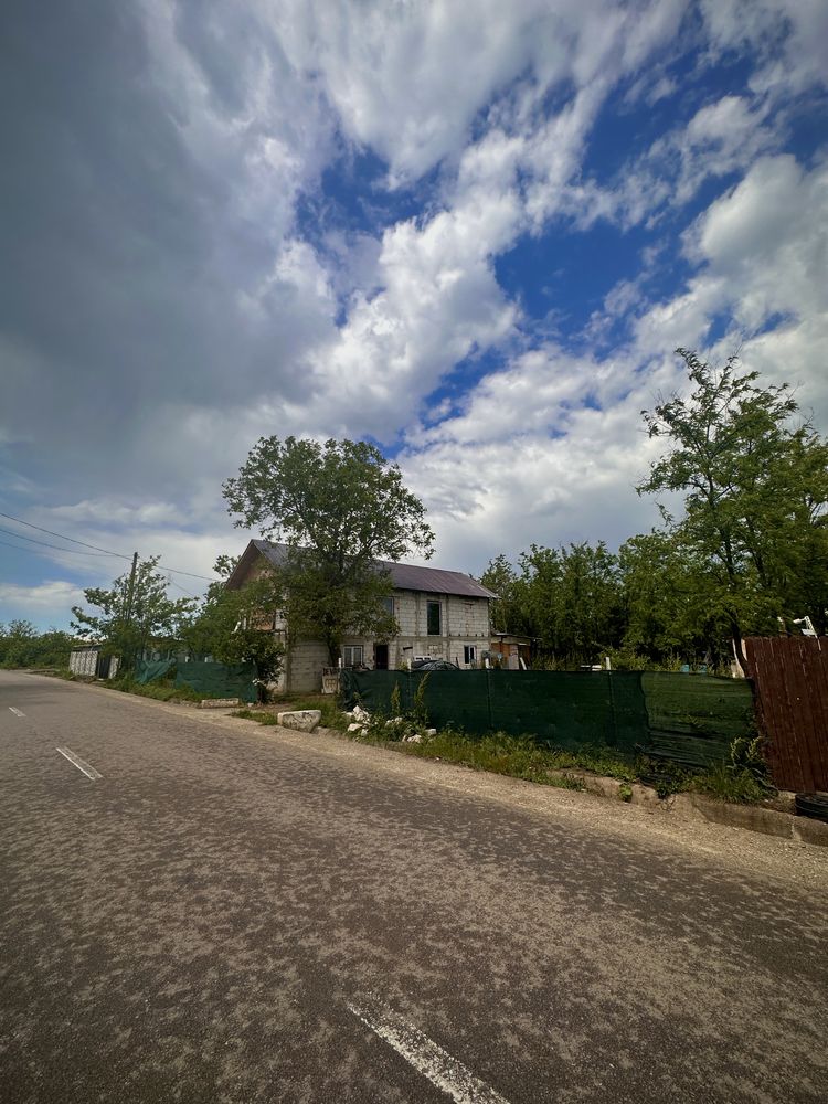 Casa visurilor tale, cu pădure proprie