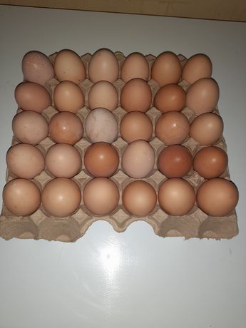 Vând ouă de gaina de tara Bio