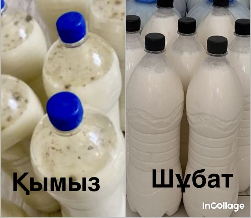 Свежий, 100% натуральный КУМЫС - ШУБАТ (ҚЫМЫЗ, ҚЫМЫРАН)