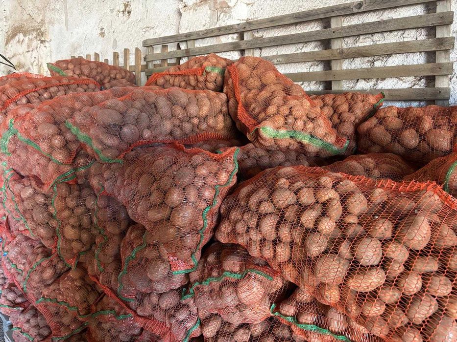 Vand cartofi pentru animale