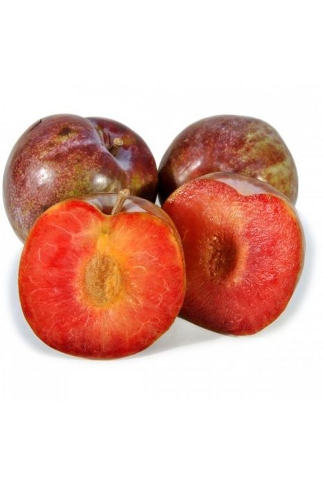 Prun (Soiul Sangue Di Drago )