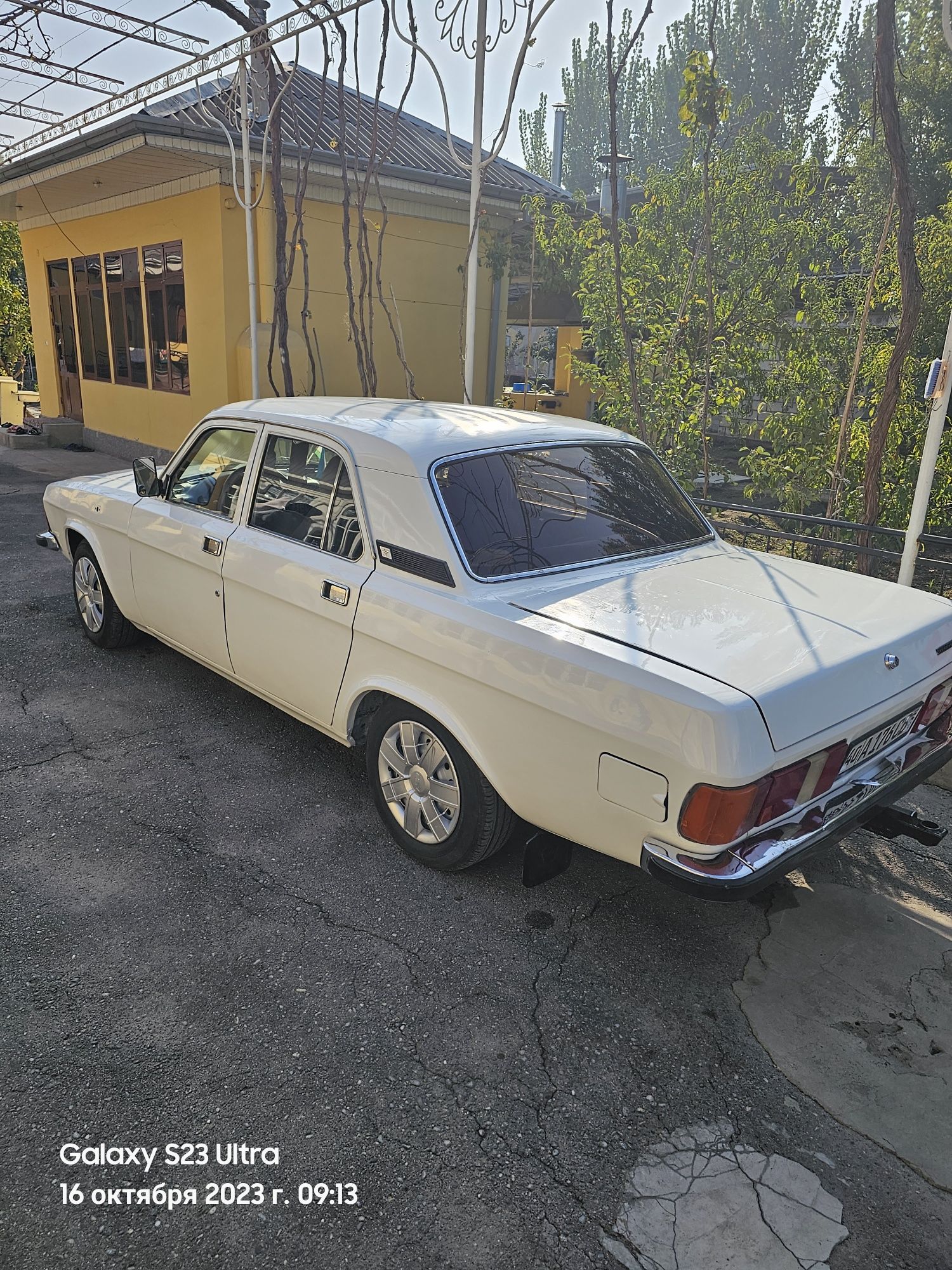 Volga 3102 Akula