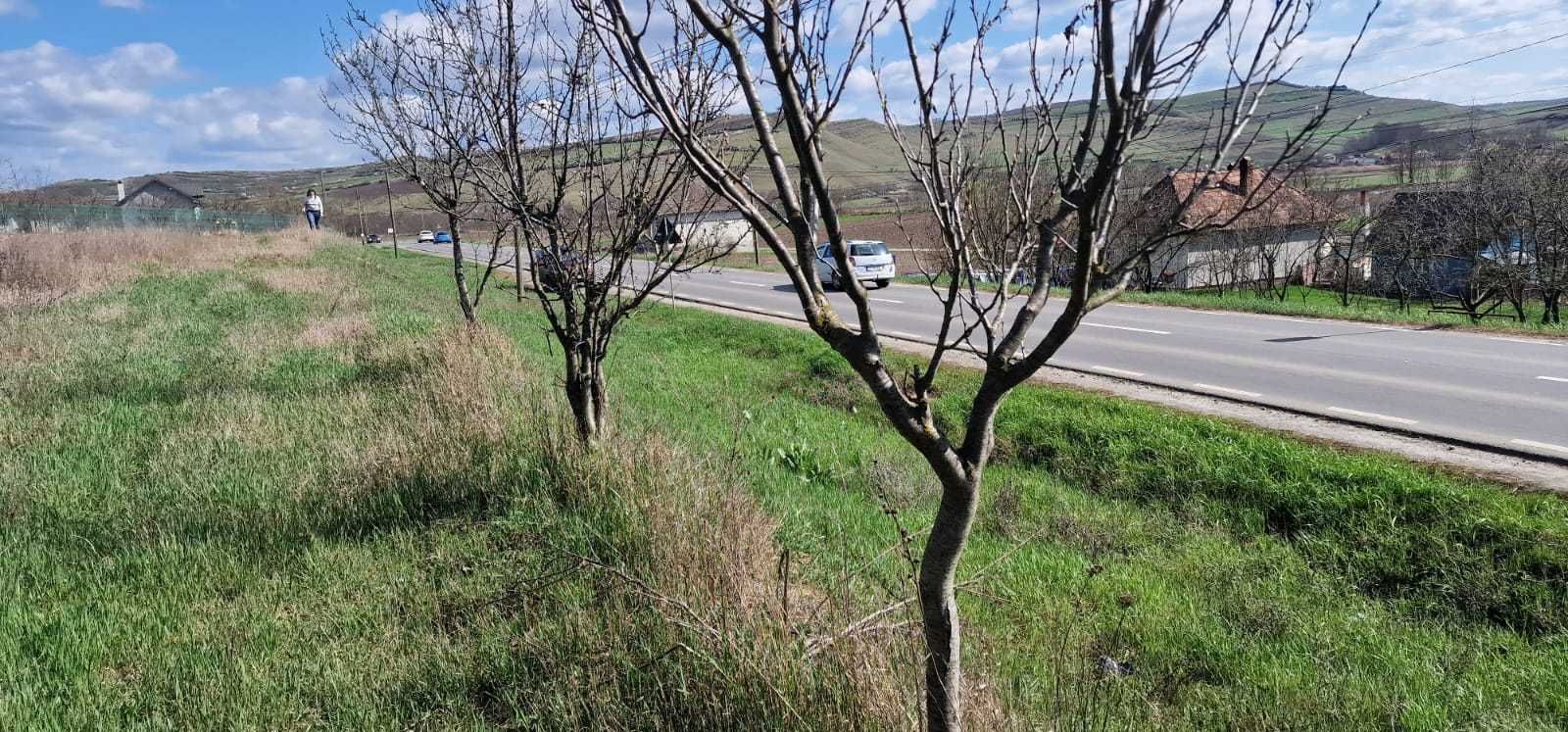 Teren cu proiect de casă + autorizație construcție, 18km de Cluj