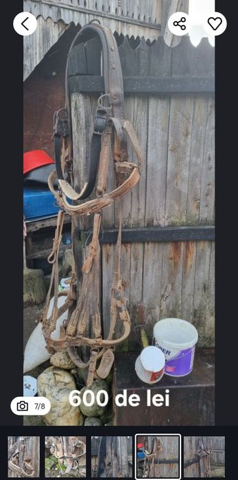 Hamuri cai din piele