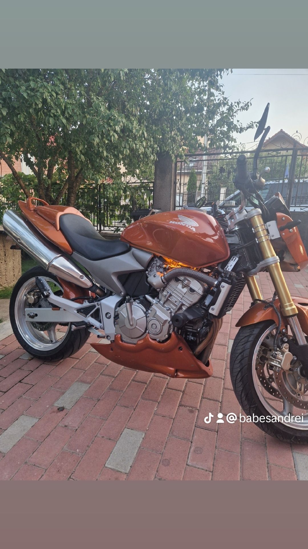 Honda hornet 600