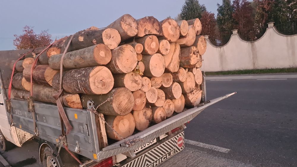 Vand lemne transport gratuit