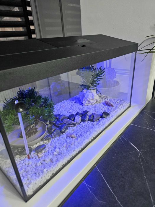 Vand acvariu sticla 54l