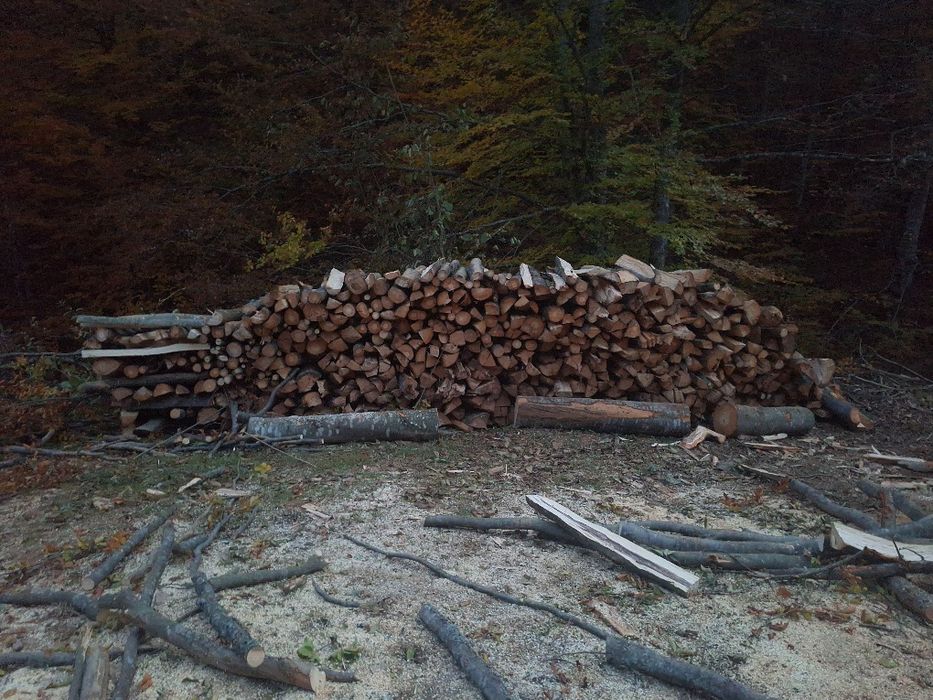 Vând lemn de foc esenta tare