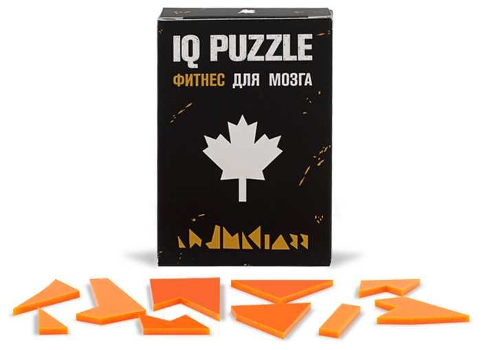 IQ puzzle, головоломка, игра развивающая новинка в Казахстане!