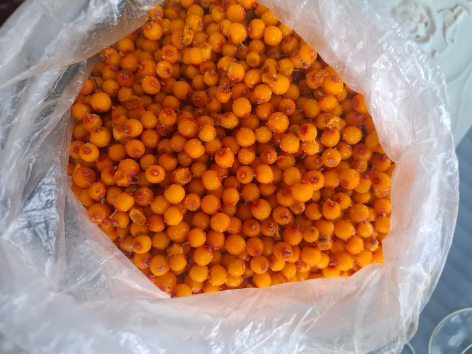 Продам облепиха район Ахмирова