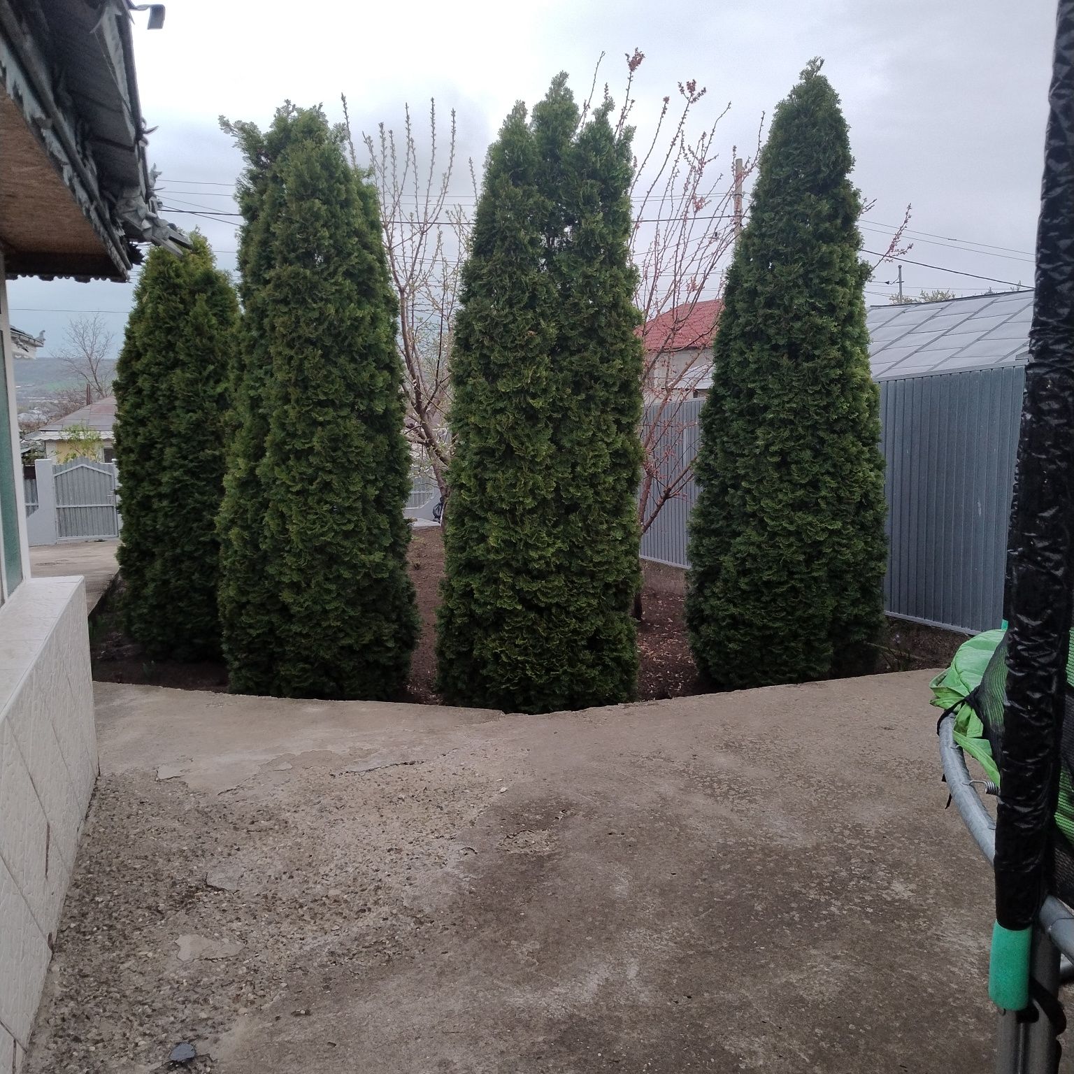 Casa de vânzare la Pechea sau la schimb cu apartament