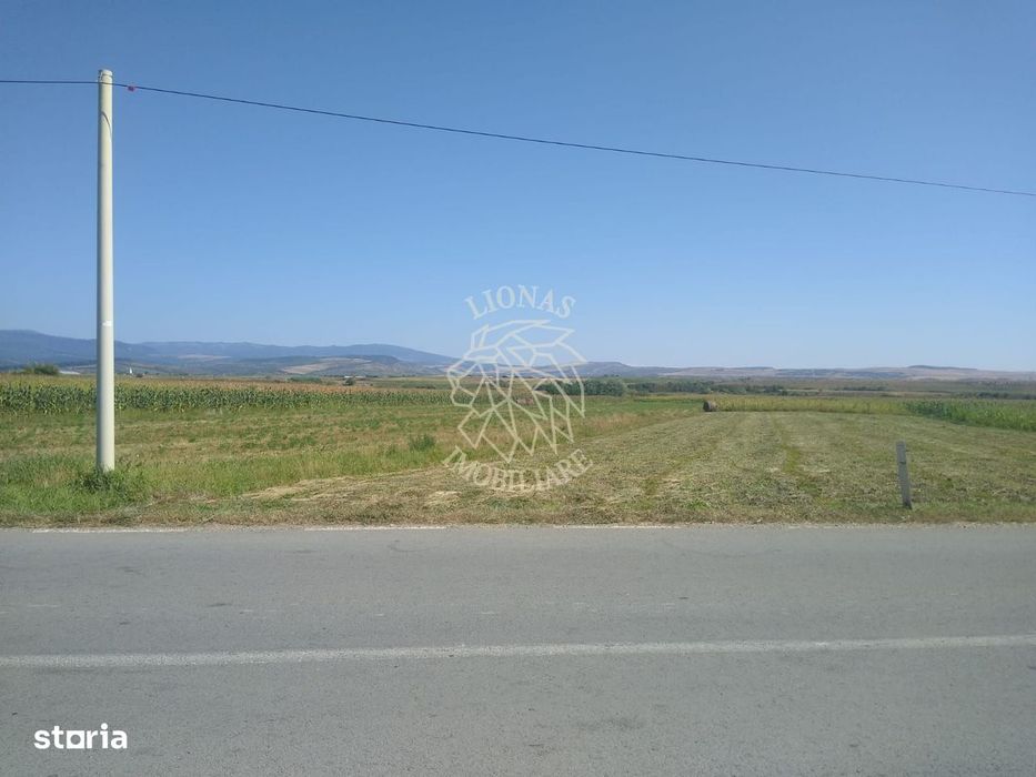 Teren 2000 mp-ideal cabana, agricultura, investitie - Jelna