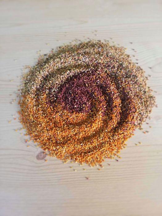 Горски Пчелен Прашец от резерват с. Сребърна