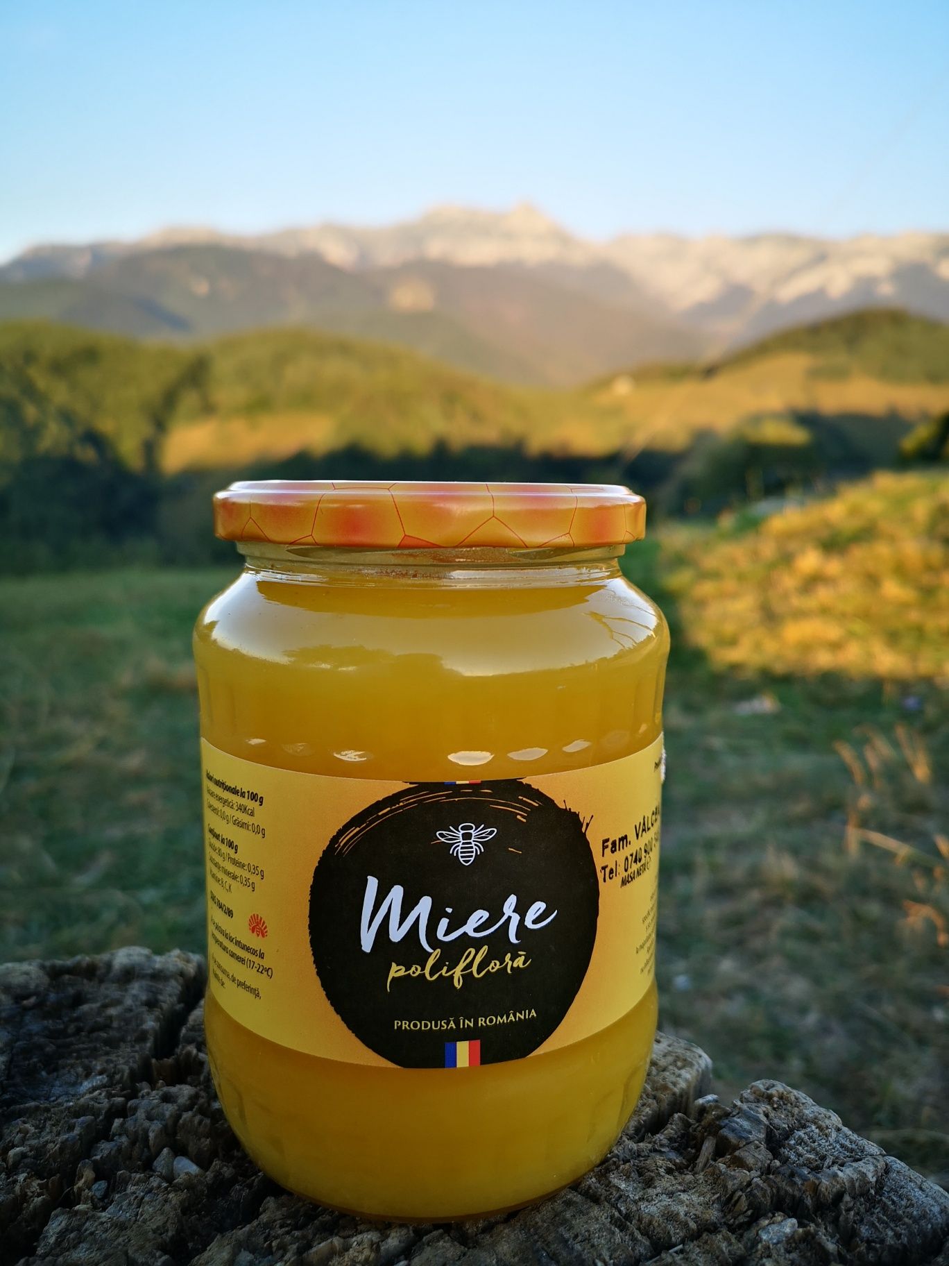 Miere de Albine de la Producător