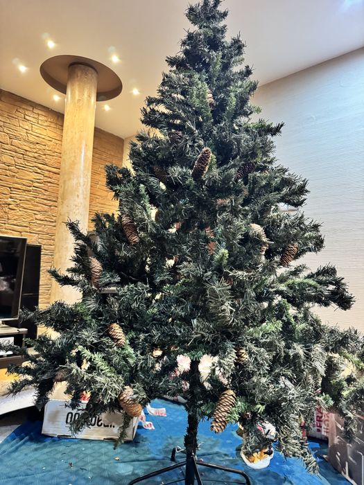 Елха с шишарки 210см.