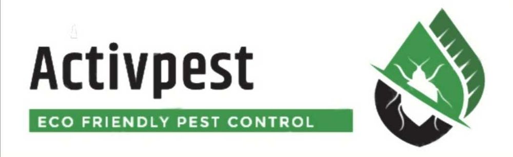 Dezinsecție ploșnițe in București și Ilfov