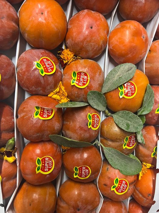 Доставка овощей и фруктов Долгосрочное сотрудничество.