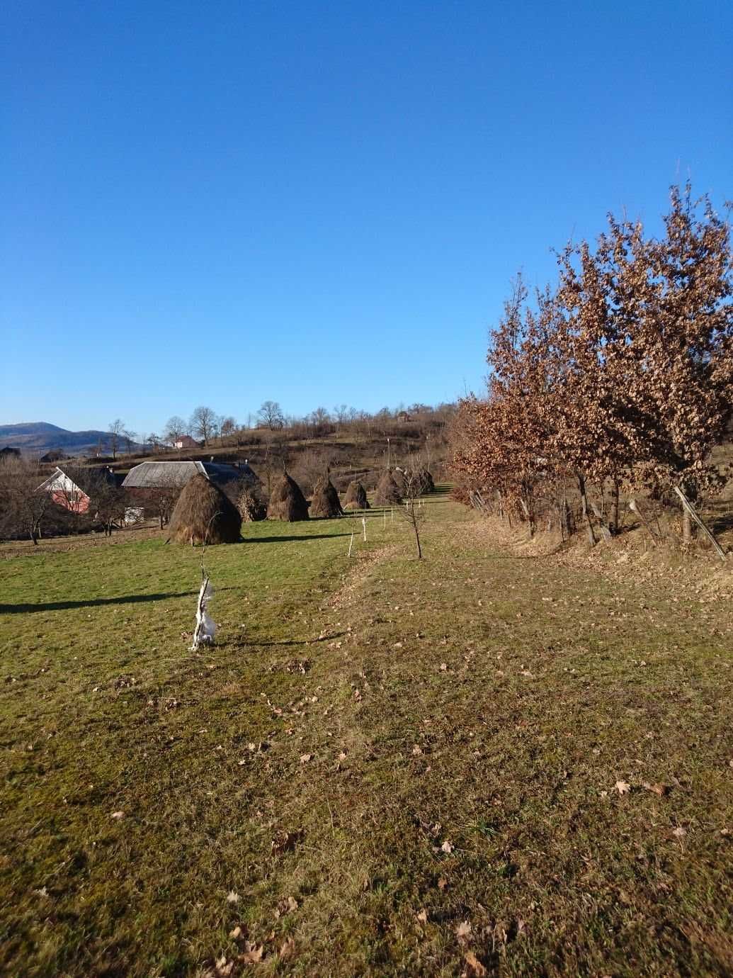 Teren de vinzare Nasaud