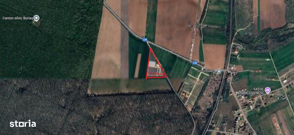 Scrovistea- Balteni, teren intravilan 17.714mp, langa padure