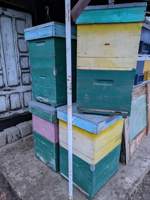 Vând cutii stupi 1/1 și rame