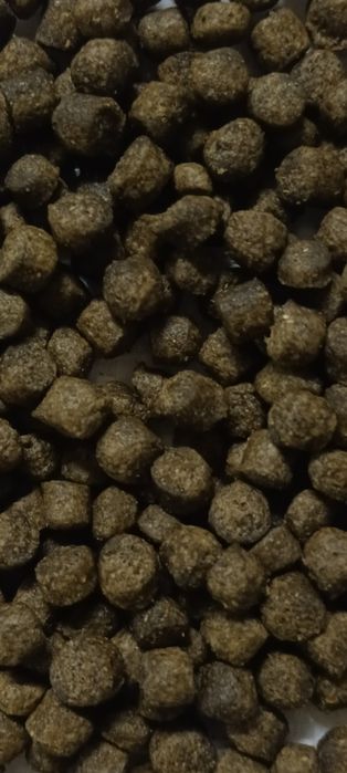 Корм для  рыб форель, карповые, осётр