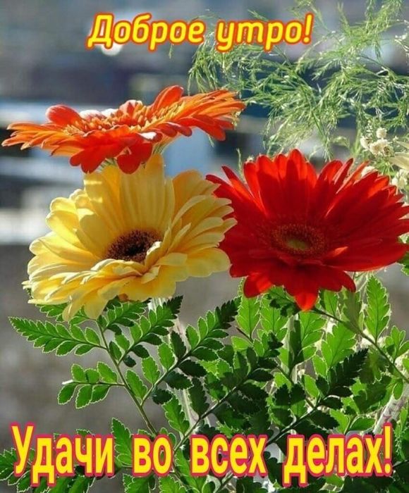 Бесплатно отдам навоз