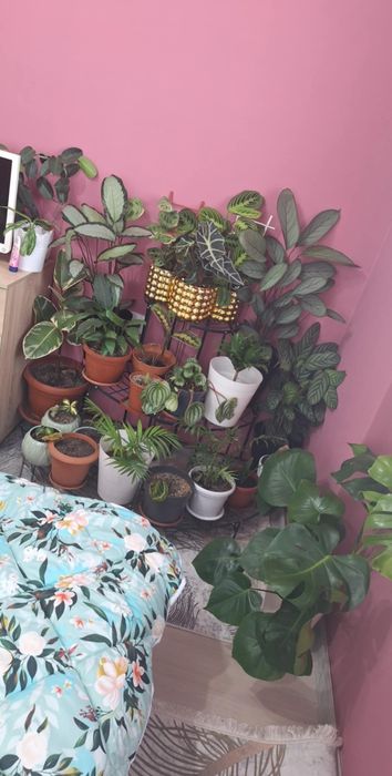 Цветарници  ъглови 4бр