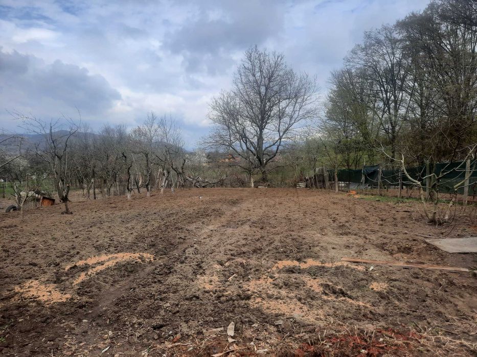 Casa la tara langa padure