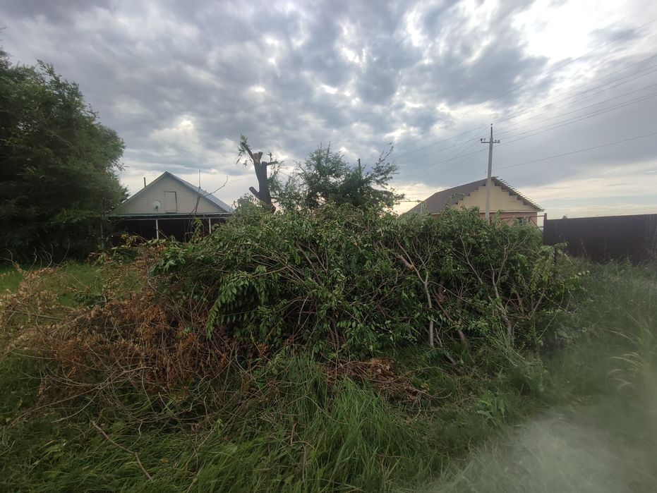 Отдам ветки село Саймасай