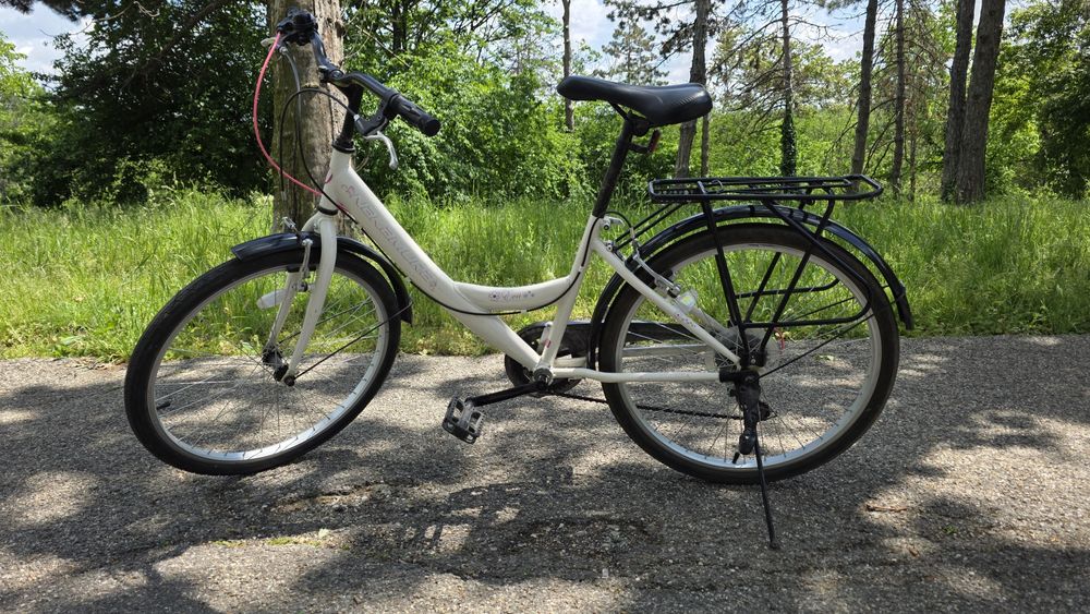 Bicicleta Nakamura Eva 24'"