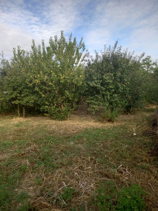 De vanzare Casa in Matasaru, Sat Odaia Turcului, Dâmbovița