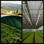 POZE REALE! Plasa PREMIUM 35-40-50%Umbrire 3x50m Ochiuri/Filtru UV