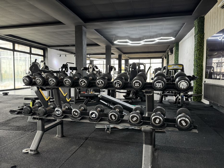 Set gantere fitness Hammer strength si gipara