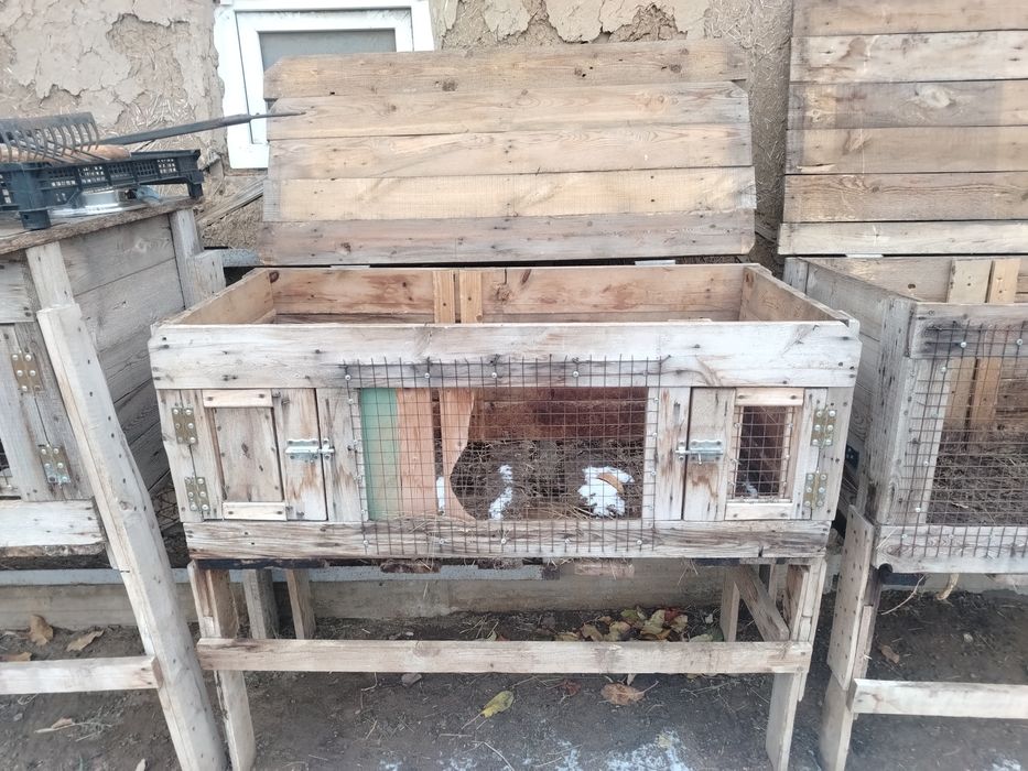Продам клетку для кроликов,  курей