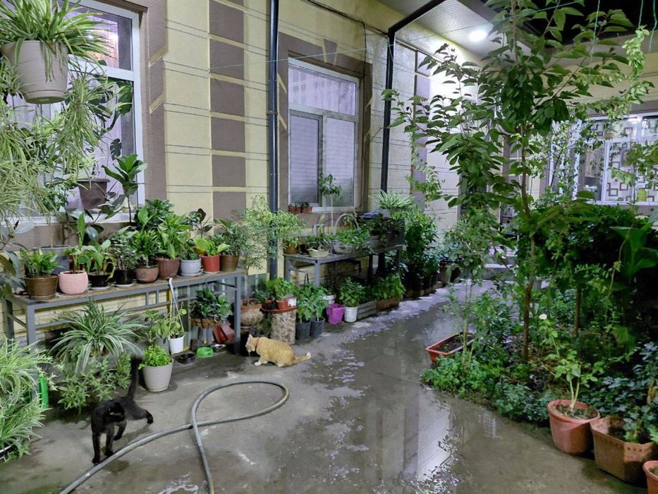 Продается очень уютный дом в хорошей локации!