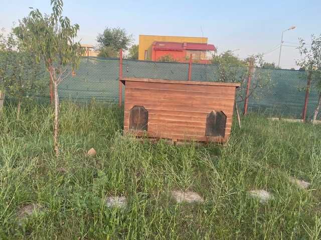 Casuta prietenoasa pentru doi catei talie medie/mare