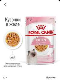 Корм для котят Royal canin в желе