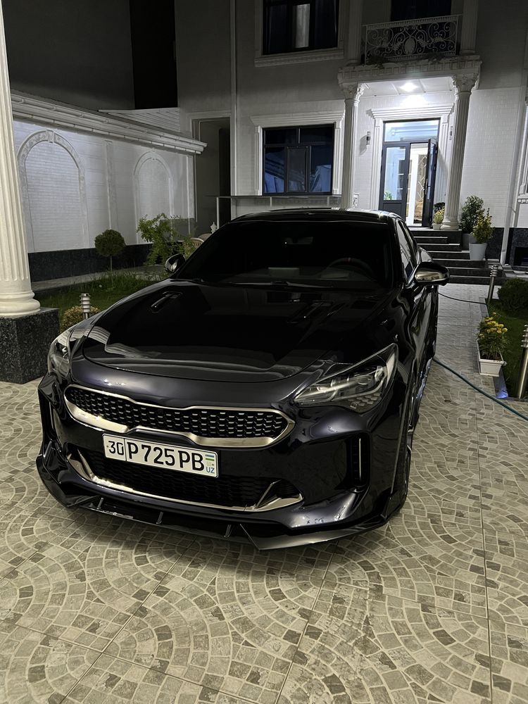 Kia Stinger gt full stage 2