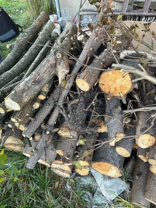 Vand lemne foc Sibiu