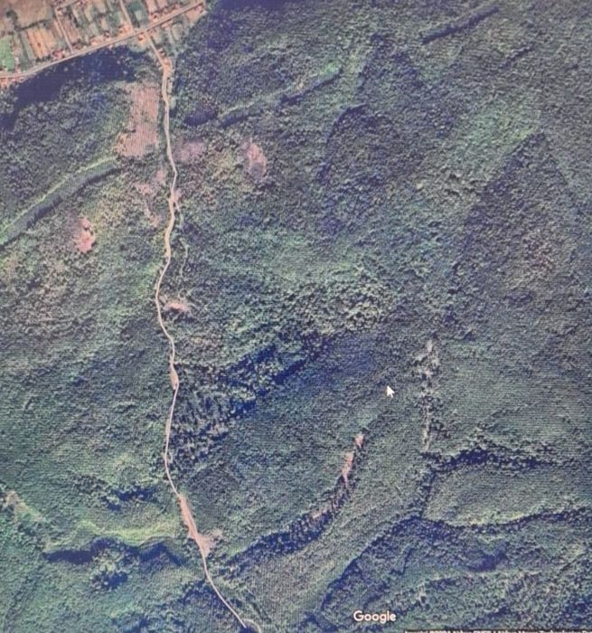 Padure în Savarsin 5600 mp