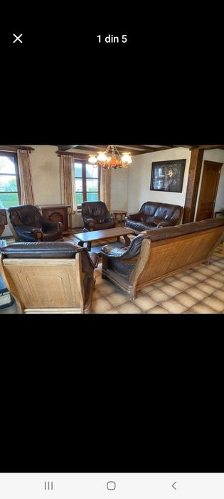 Salon din piele naturala